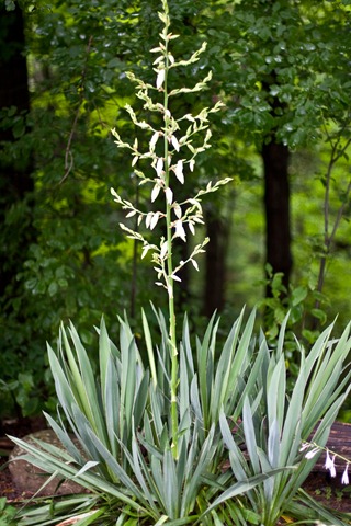 IMG_1901 IMG_1901